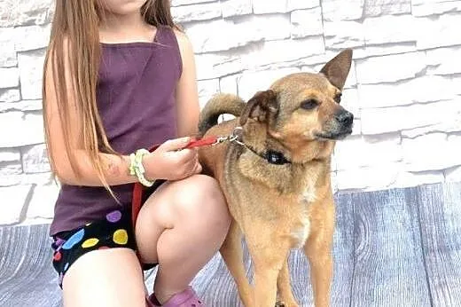 LOLA sunia szuka kochających ludzi!!! PILNE,  doln