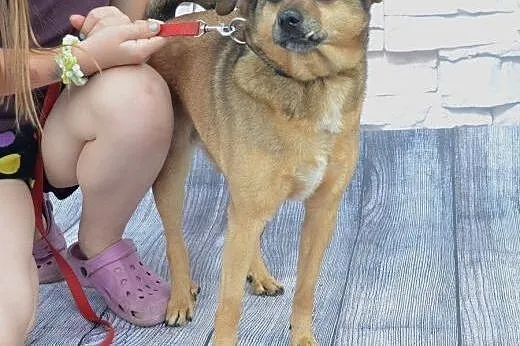 LOLA sunia szuka kochających ludzi!!! PILNE,  doln