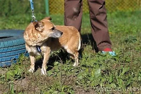 Mała Kulka - świetna przyjaciółka :),  warmińsko-mazurskie Olsztyn