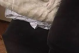 Bran&Lucy szukają domów! :),  dolnośląskie Jel