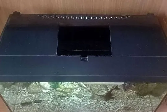 Akwarium aquael 55 litra+Rybki, Świętokrzyskie, Czarzyzna