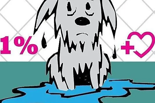 1% na rzecz bedomnych zwierząt Fundacja Jak Pies z Kotem, Mazowieckie, Warszawa