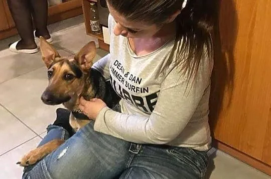 Mika młoda suczka szuka domu, Łódzkie, Łódź