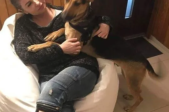 Mika młoda suczka szuka domu, Łódzkie, Łódź