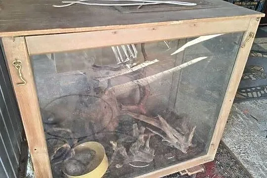 Terrarium plus wyposażenie