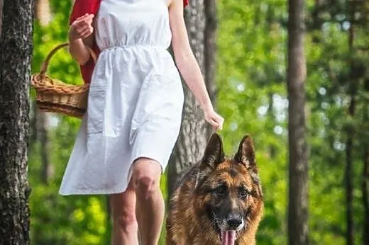 Przy Bartku poczujesz sie bezpiecznie,  świętokrzy