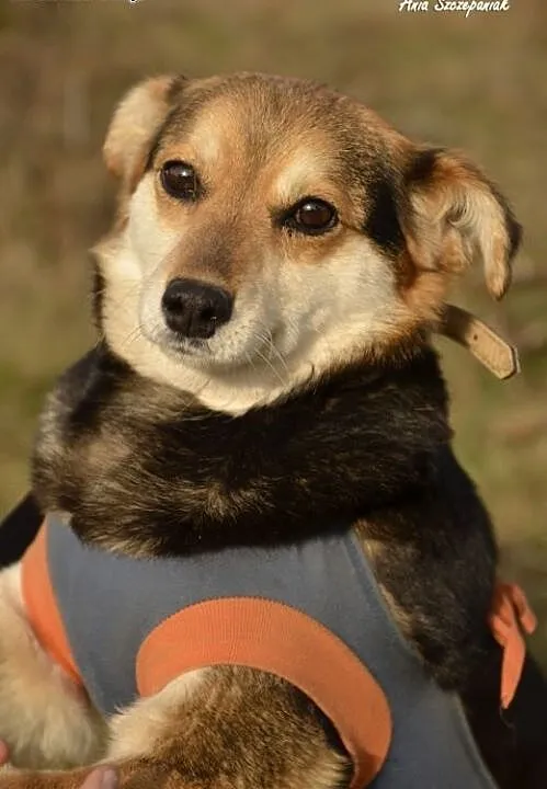 Abla - ... i tylko mnie kochaj ., pomorskie Wejhe