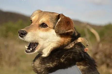 Abla - ... i tylko mnie kochaj .,  pomorskie Wejhe