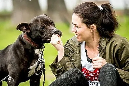 Dasz szanse ? Adoptujesz ? Pokochasz ?,  mazowieck
