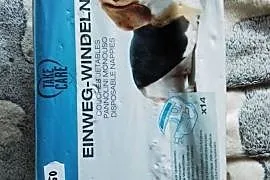 Pieluchy jednorazowe dla suczki na cieczkę