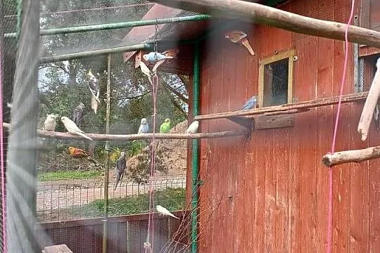 Papugi, Dolnośląskie, Mała Wieś Dolna