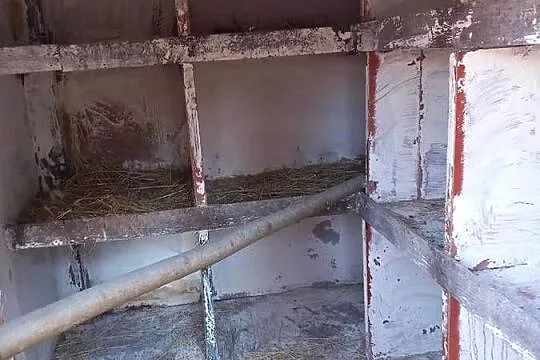 Woliera klatka  dla gołębi kur papug królików, Lubelskie, Biała Podlaska