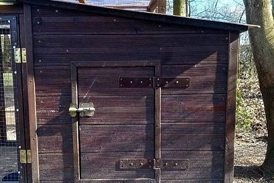 Woliera klatka  dla gołębi kur papug królików, Lubelskie, Biała Podlaska