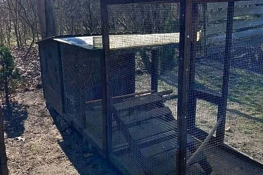 Woliera klatka  dla gołębi kur papug królików, Lubelskie, Biała Podlaska