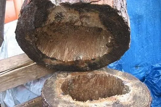 Budka lęgowa