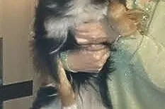 Sisi do pilnej adopcji