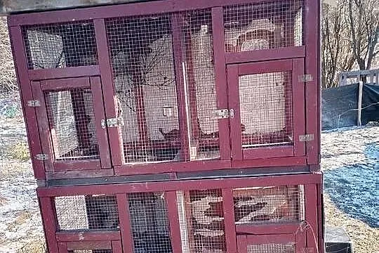 Klatki sprzedam do remontu, Małopolskie, Siepraw