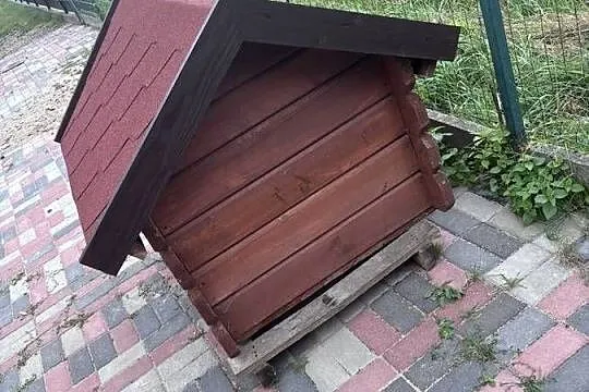 Buda dla psa, Świętokrzyskie, Święta Katarzyna