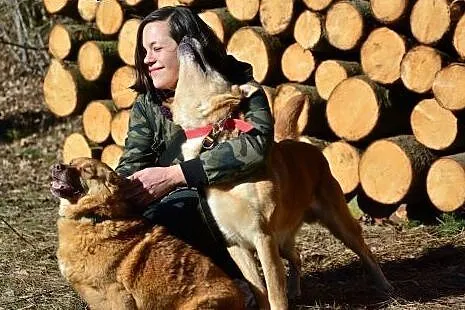 Wspaniały OLAF - najkochańszy pies wśród psów :), 