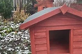 Buda dla średniej wielkości psa