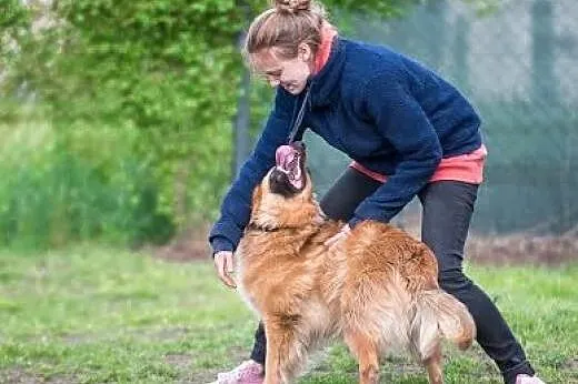 Zabierz Bursztynka do swojego serca ,  dolnośląski