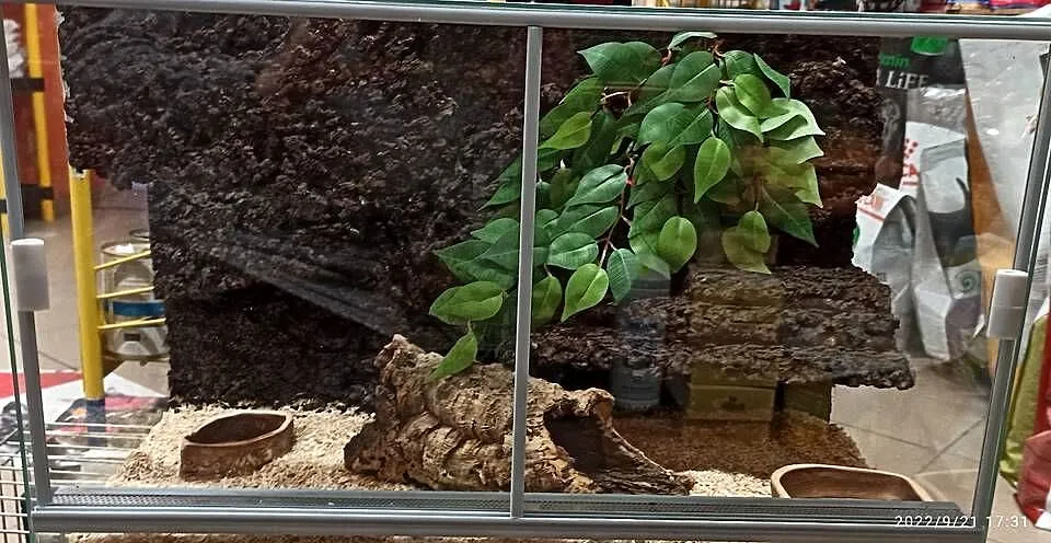 Terrarium szklane, Małopolskie, Tarnów