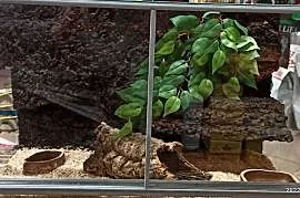 Terrarium szklane