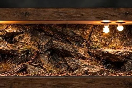 Terrarium dla agamy brodatej gekona lamparciego