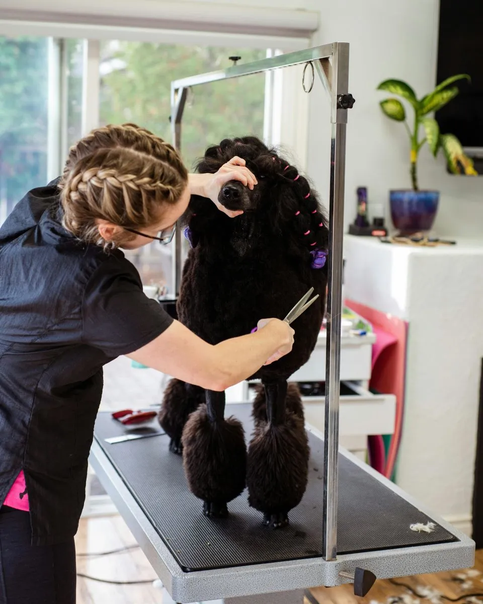 Kim jest groomer