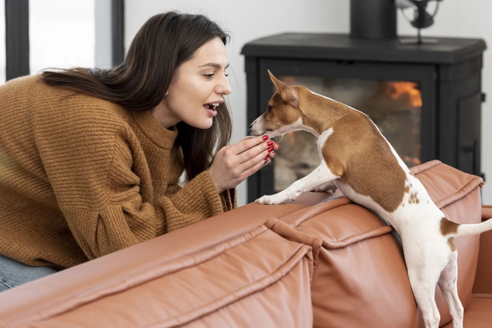 Basenji