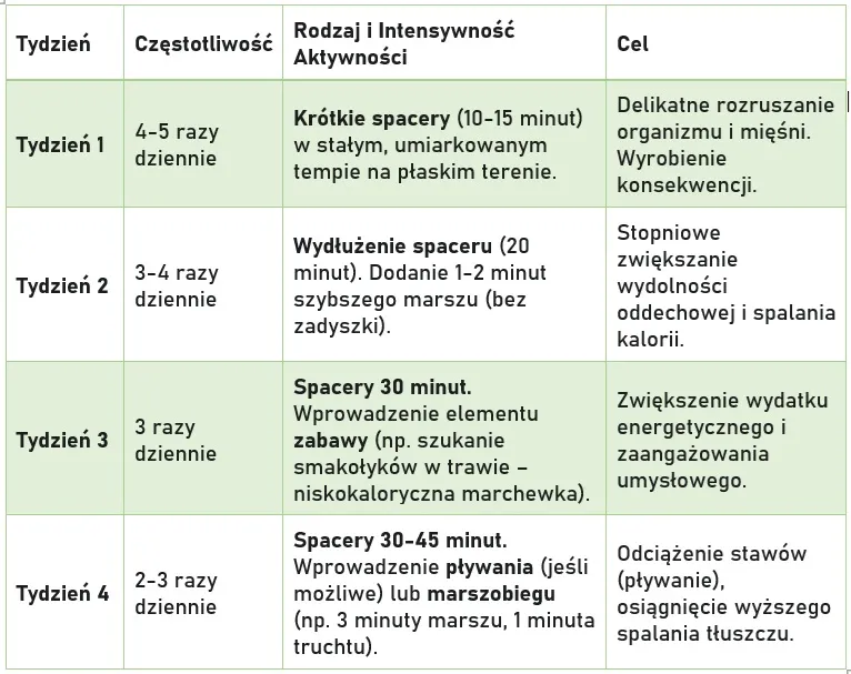 Plan Spacerów 