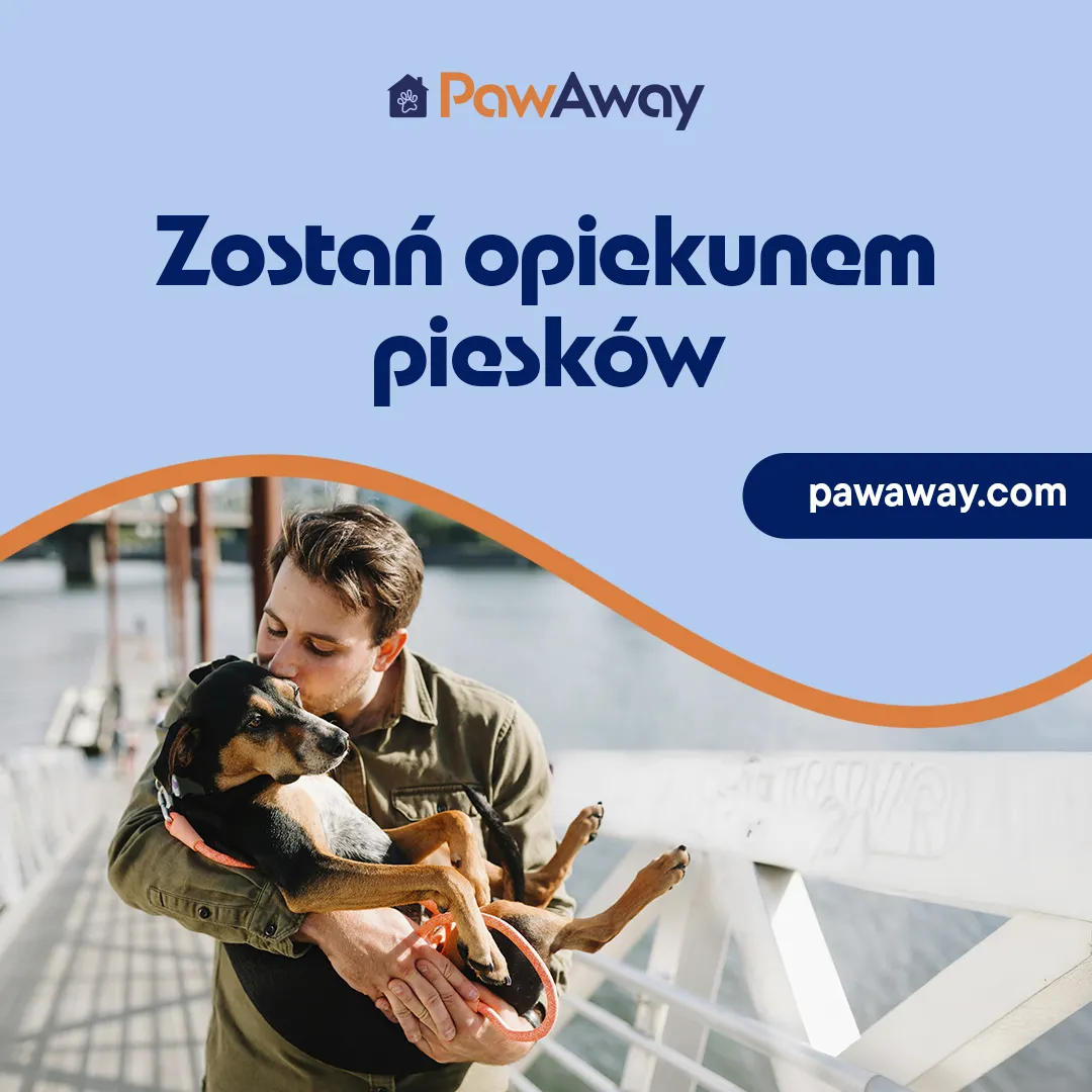 PawAway – domowa opieka nad psem, której możesz zaufać