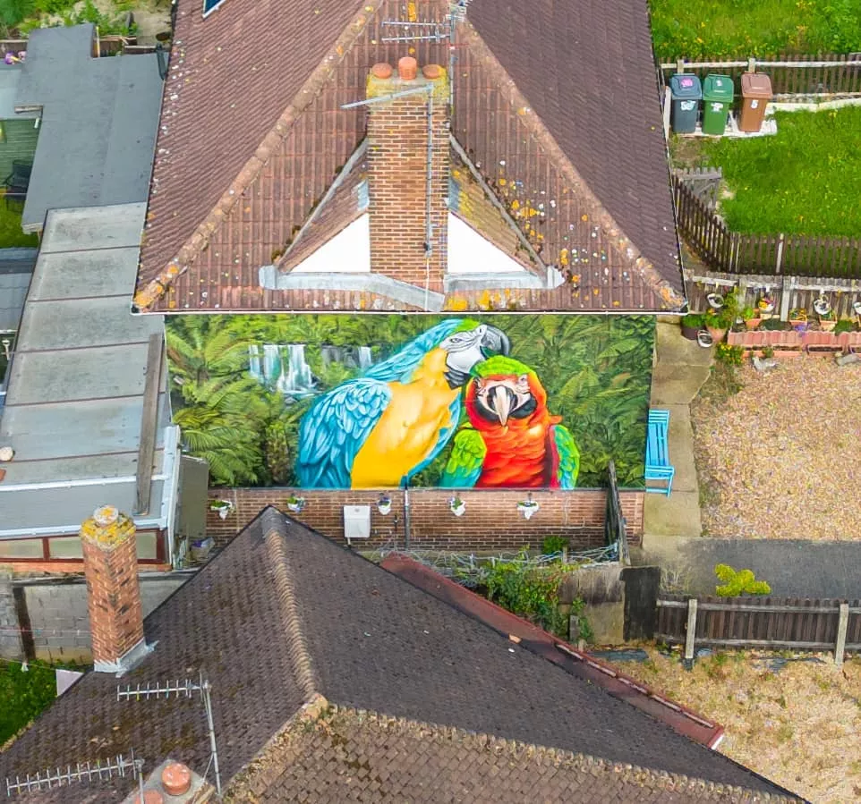Mural z papugami
