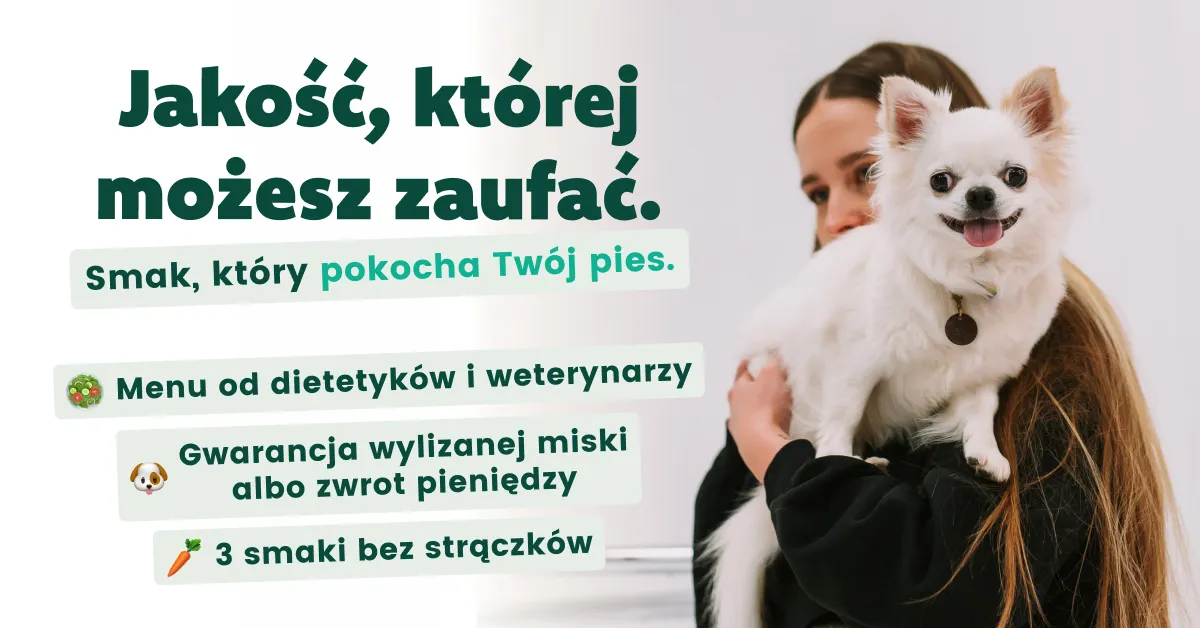 Jakie sygnały wysyła pies