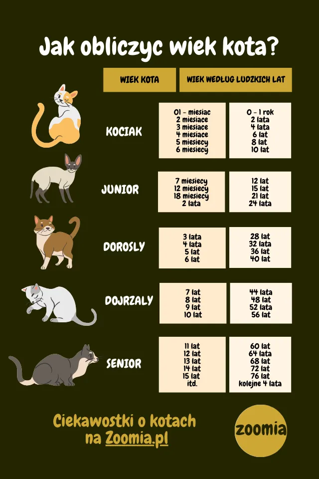 Jak obliczyć wiek kota