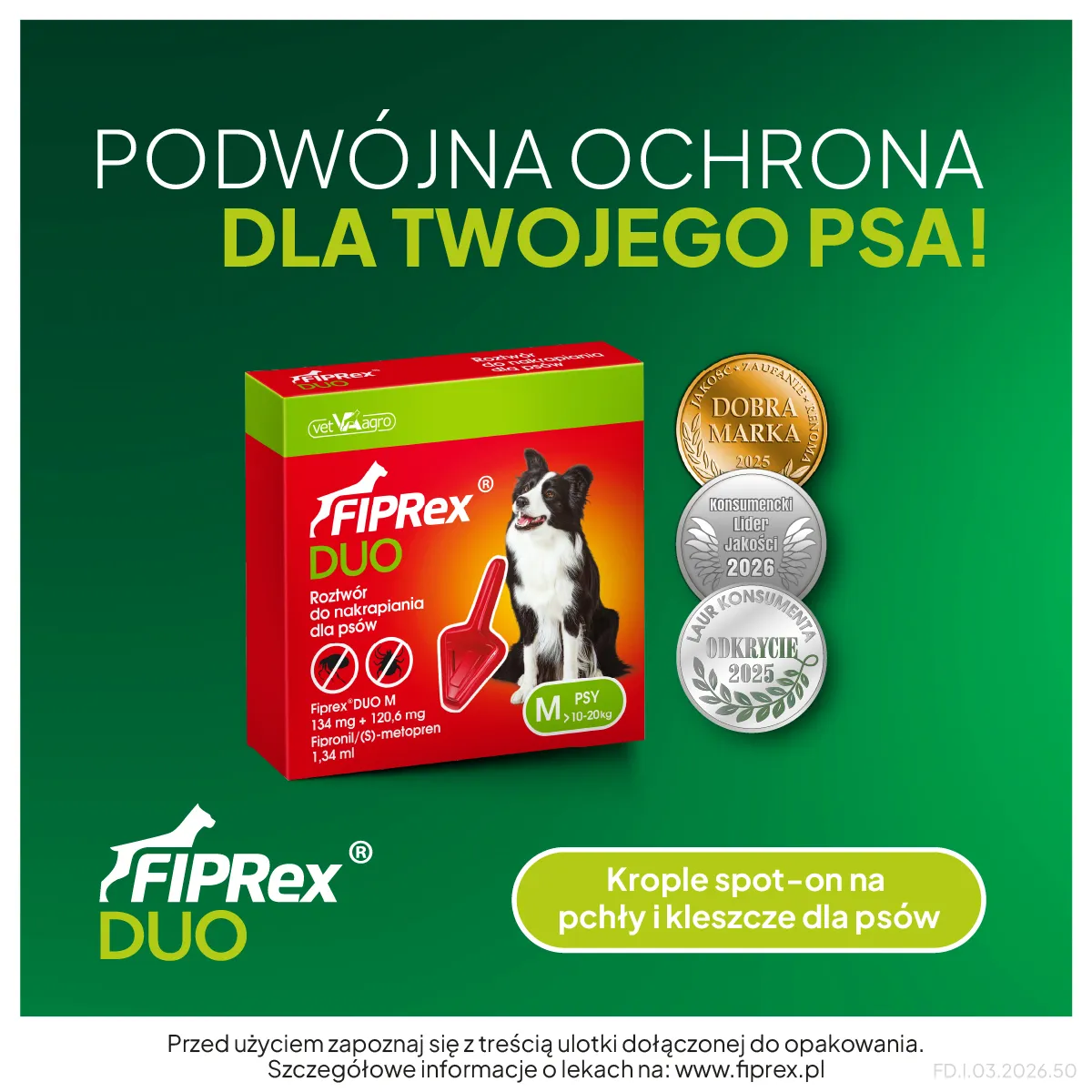Jak chronić psa przed pasożytami 
