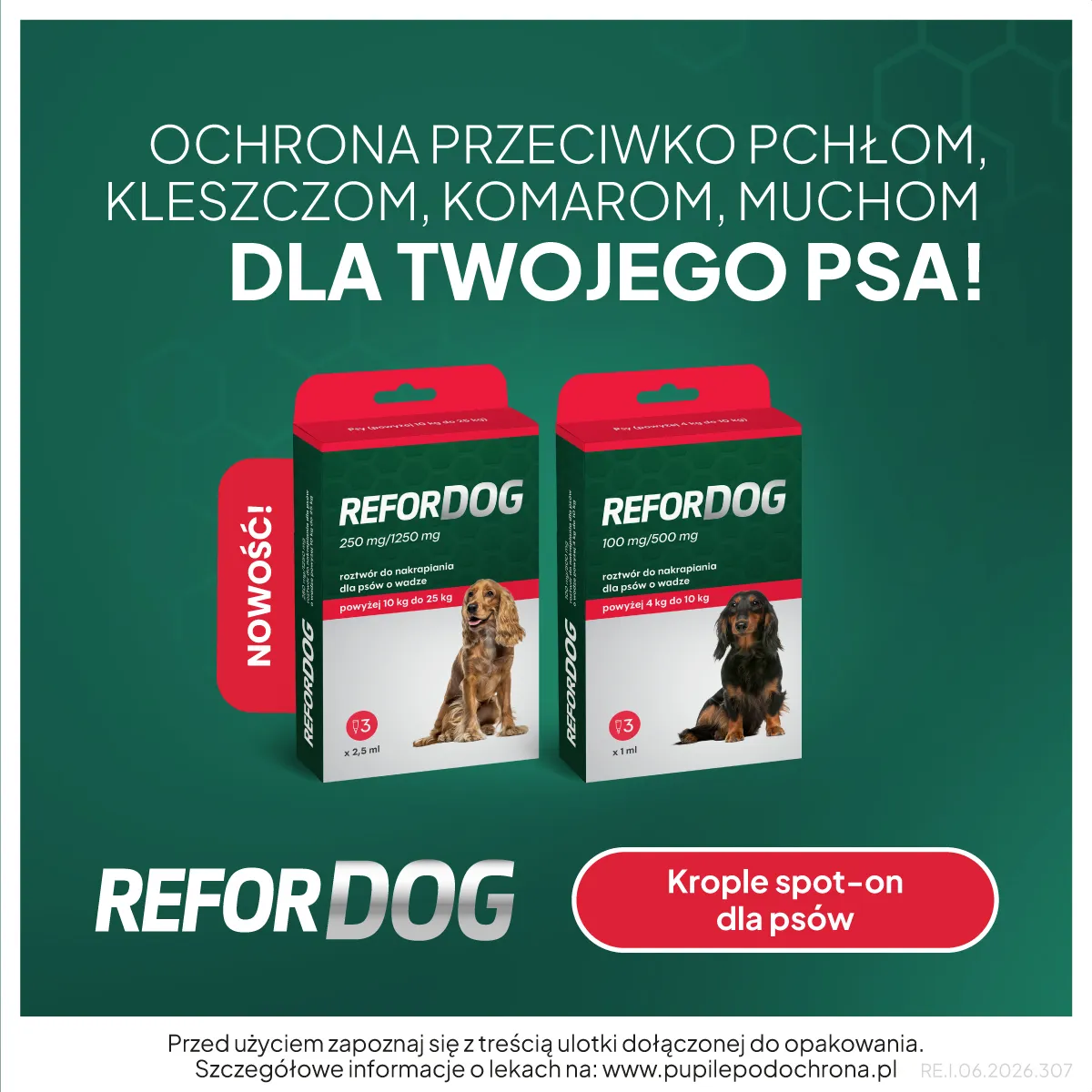Jak chronić psa przed pasożytami 
